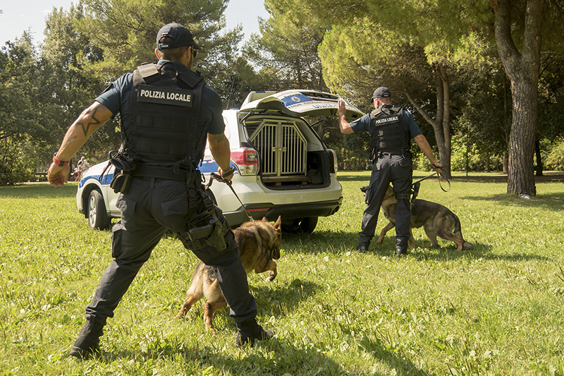 Rimini. Polizia locale nell’anno della pandemia. Oltre alle multe anche l’assistenza