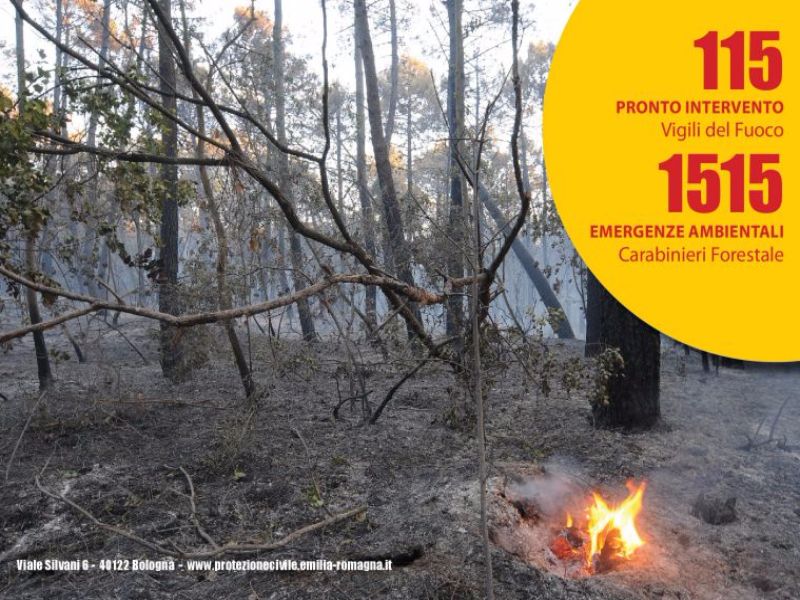 Rimini. Incendi boschivi: fase di attenzione in tutta la Regione