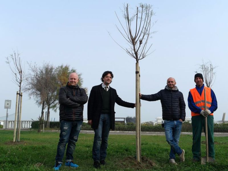 Rimini. Giornata nazionale dell’albero, al via la prima piantumazione